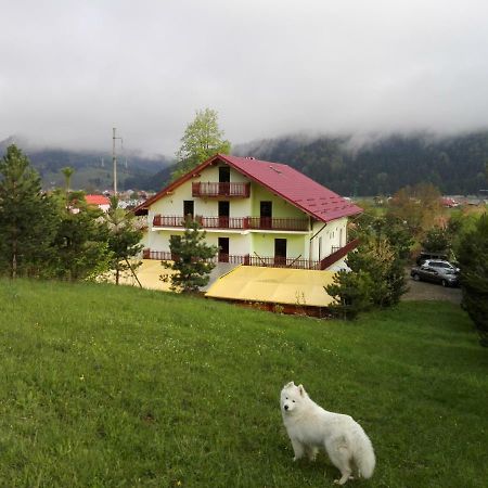 Grandemi Belvedere Bucovina Frasin エクステリア 写真