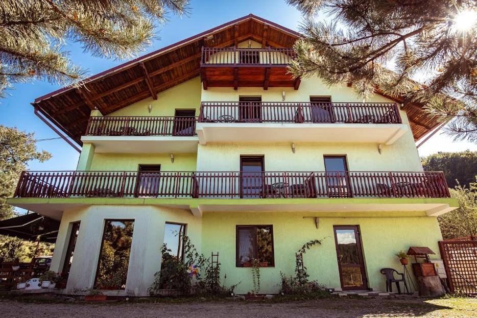Grandemi Belvedere Bucovina Frasin エクステリア 写真