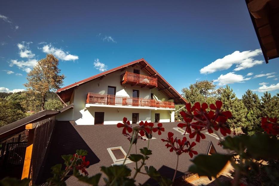 Grandemi Belvedere Bucovina Frasin エクステリア 写真