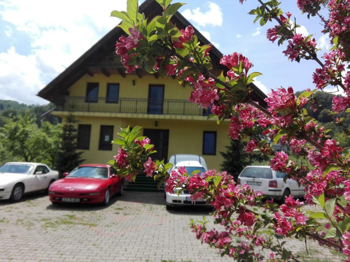 Grandemi Belvedere Bucovina Frasin エクステリア 写真