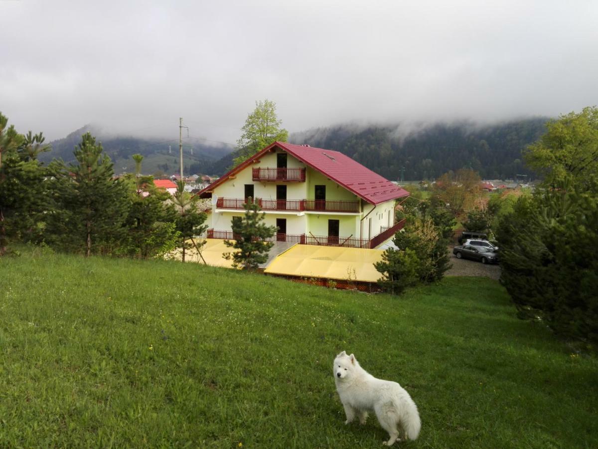 Grandemi Belvedere Bucovina Frasin エクステリア 写真