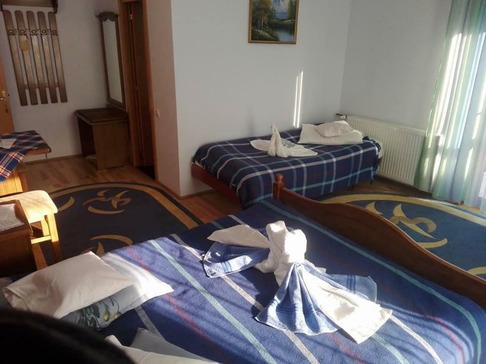Grandemi Belvedere Bucovina Frasin エクステリア 写真